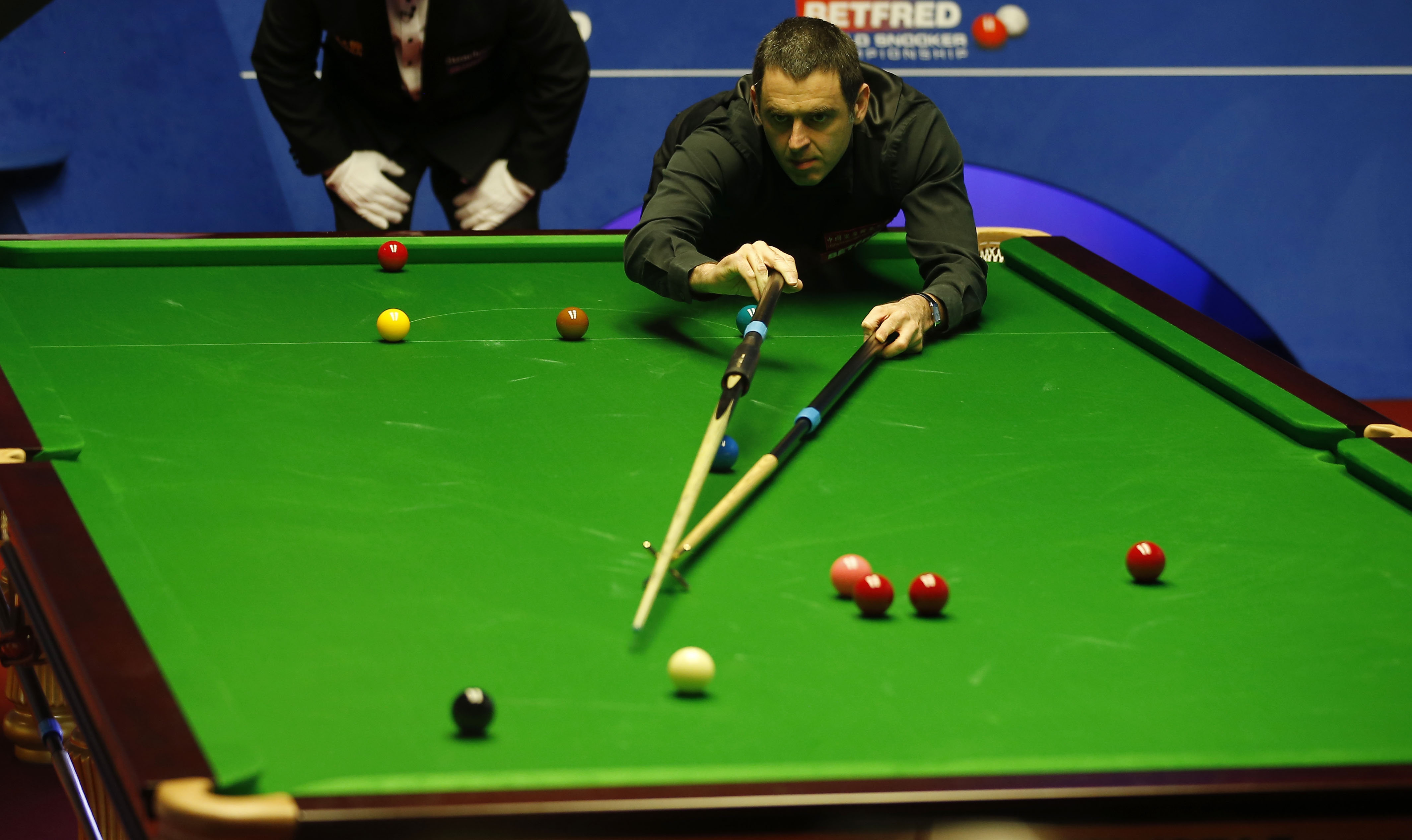 本赛季所积 本赛季所积