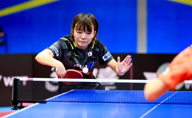 他们展现了 他们展现了