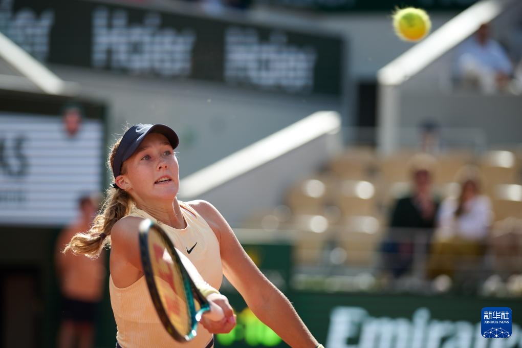 务审查报告 务审查报告